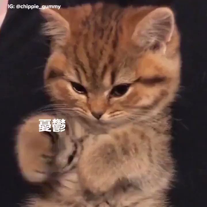 qrzyb1hi4ccjutgz
