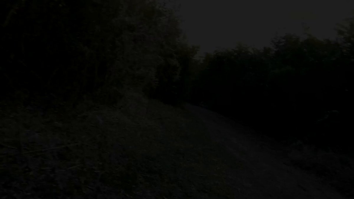 x1cdlwsbiorrv1vv