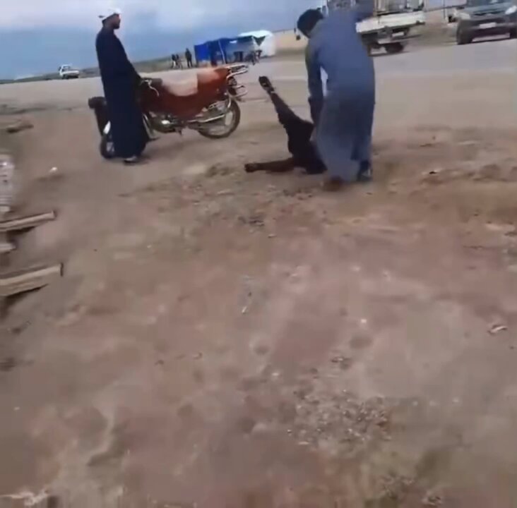 -yvg0llmzozb93aa