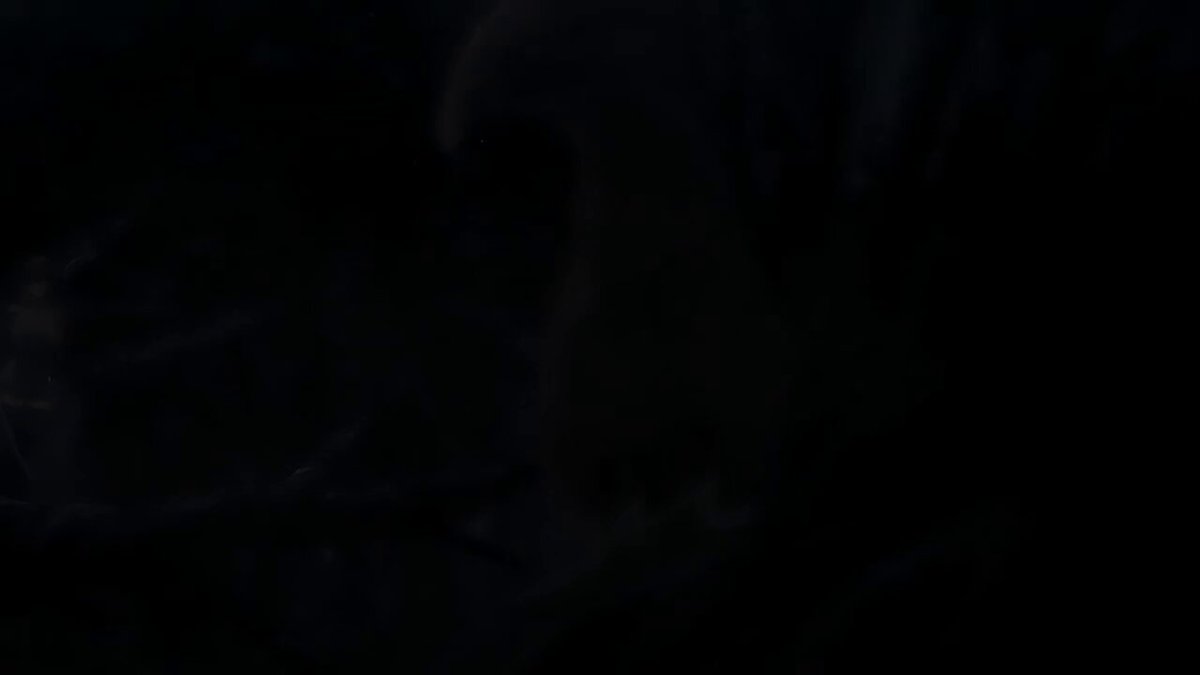 wnwsngztdjtflpt2