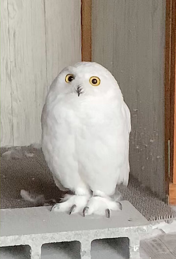 hdrvuzhtybt8fhzb