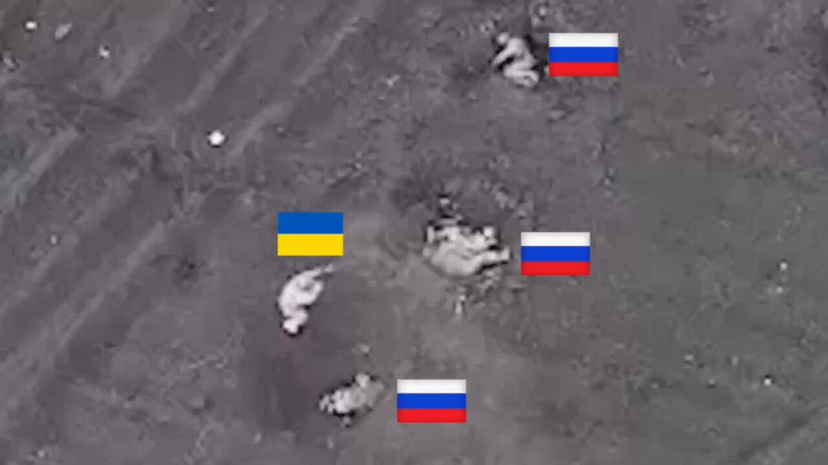 zju7w00a4rz6lwtq