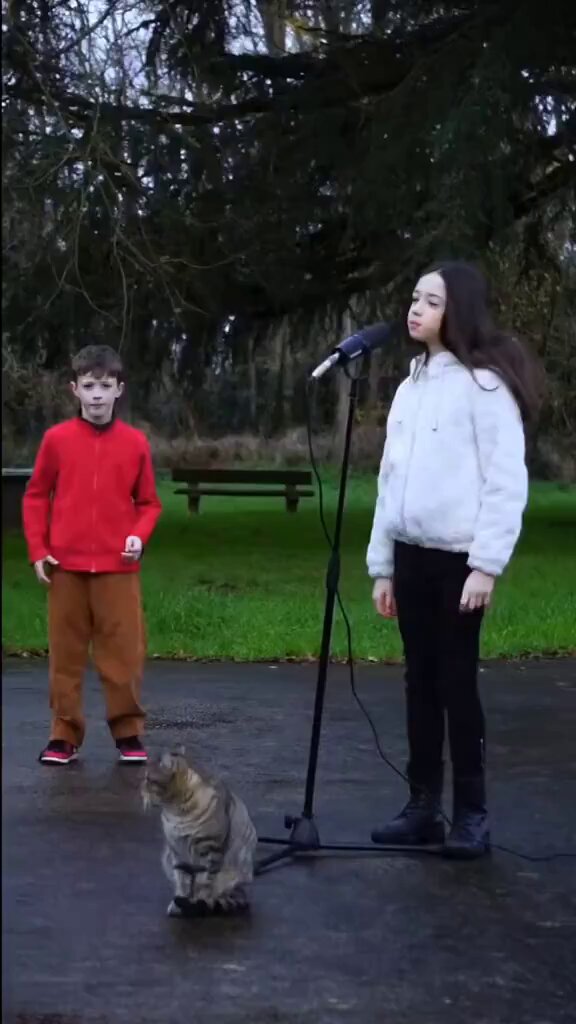 7ktc8_j5bcruhdmz