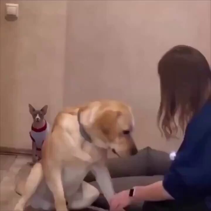 xndxyfwaqtt83xt6