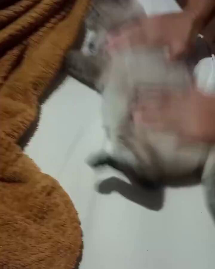 szwmxhqysxqy9bht