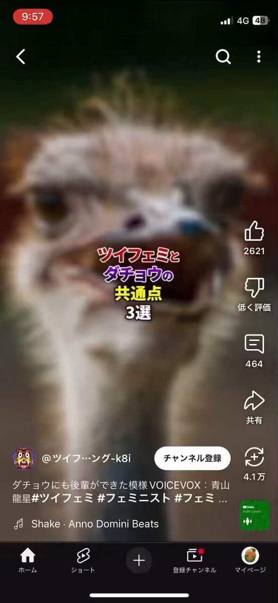 3nxdswpdzxonhmo