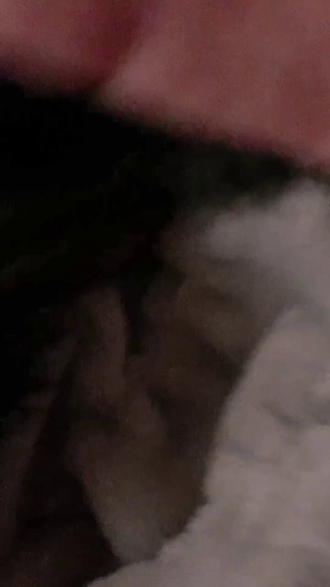 88zwtwqgsqzj3sym