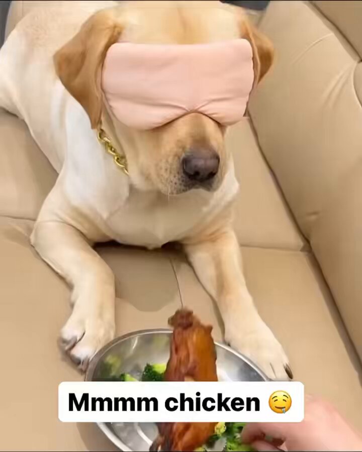 o7s3amfwrghjydki