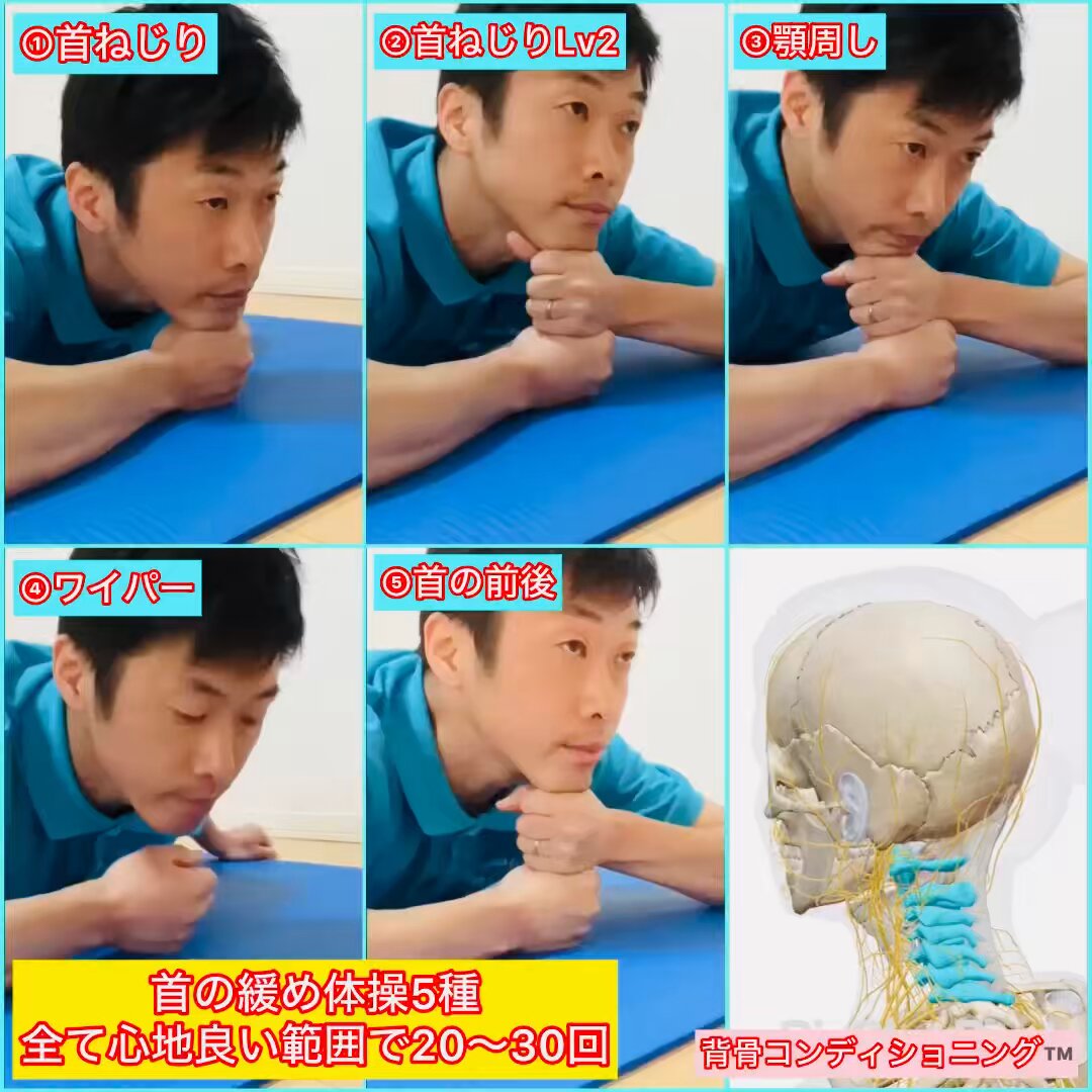 qkn2gpbkikm0k0xw