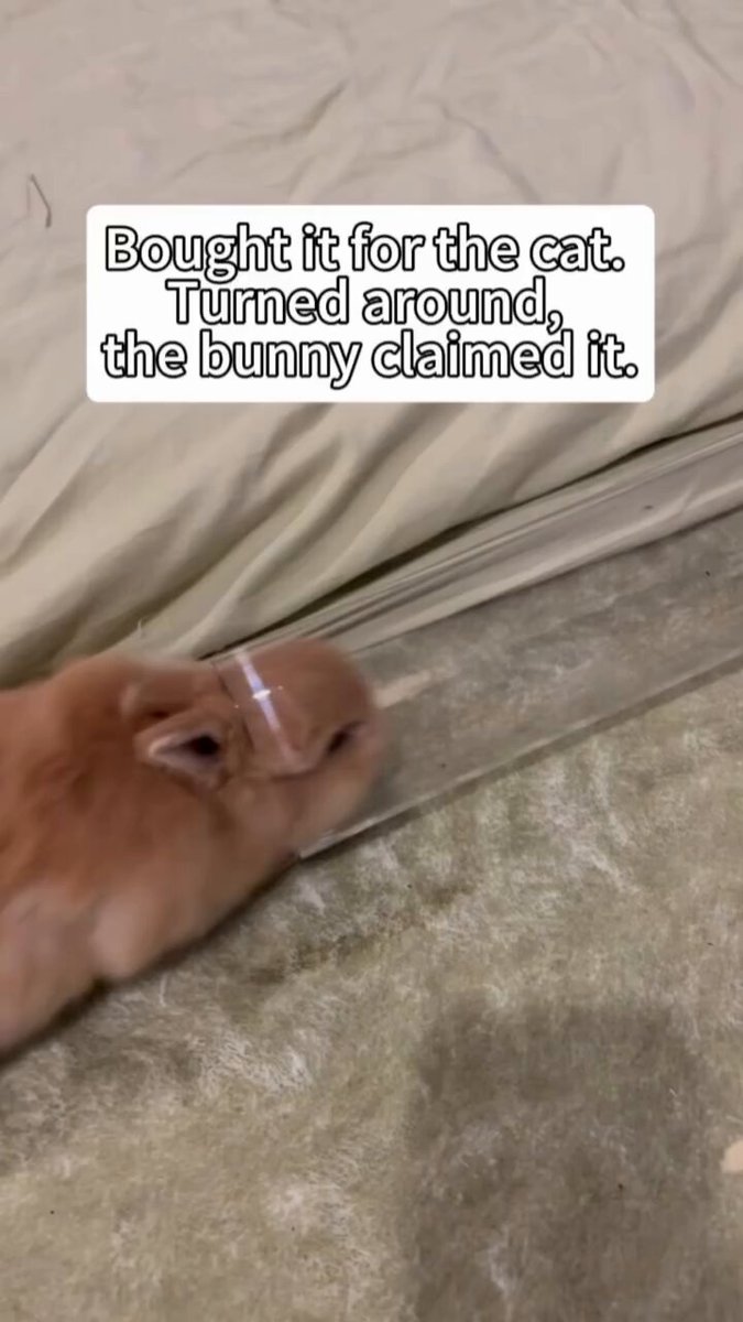 nmsyw9n0nd4kmxox