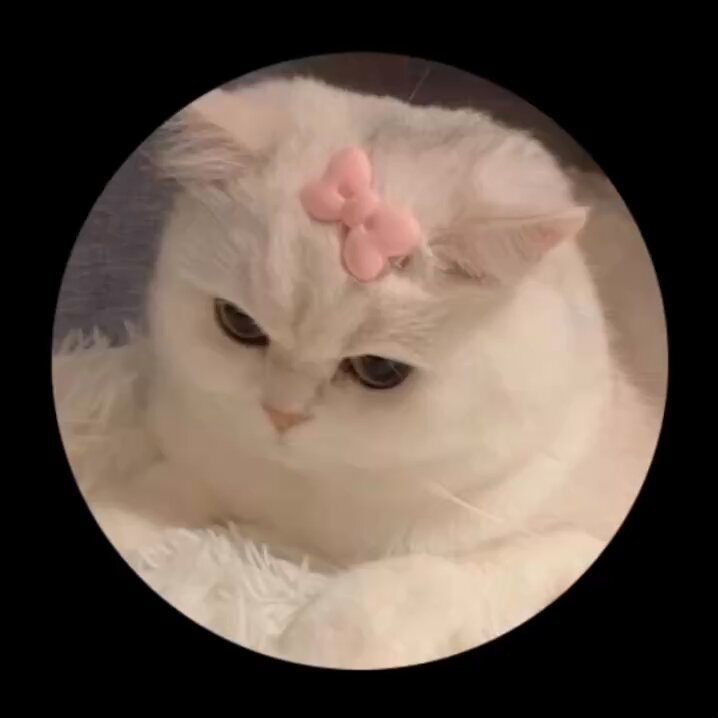 dngkdv1ieg2mnc3o