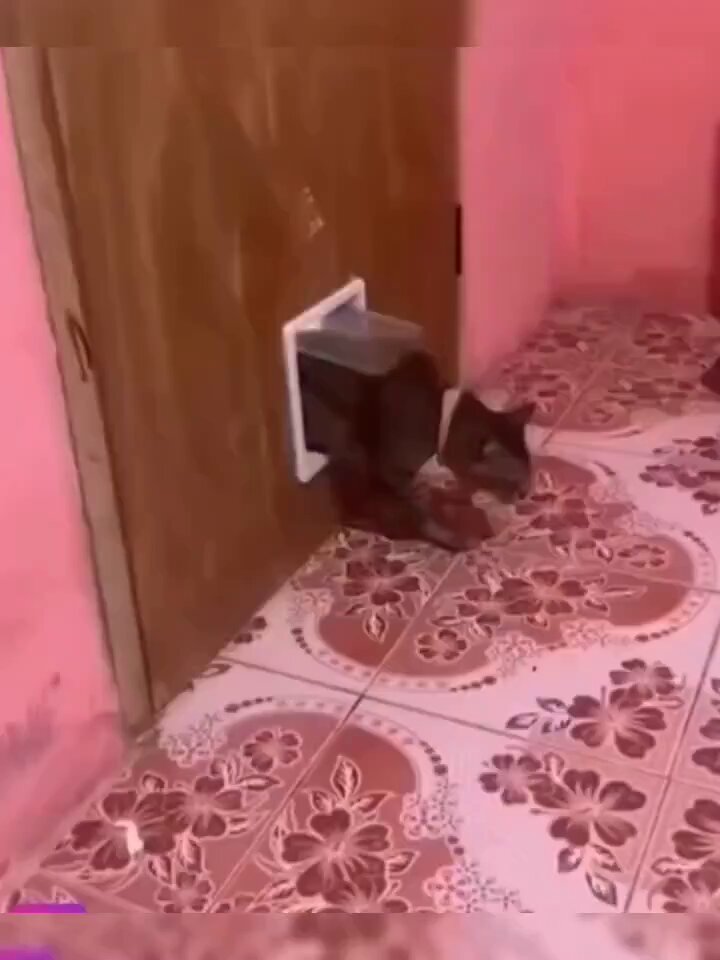 vlfgfkwj7pxllcz_