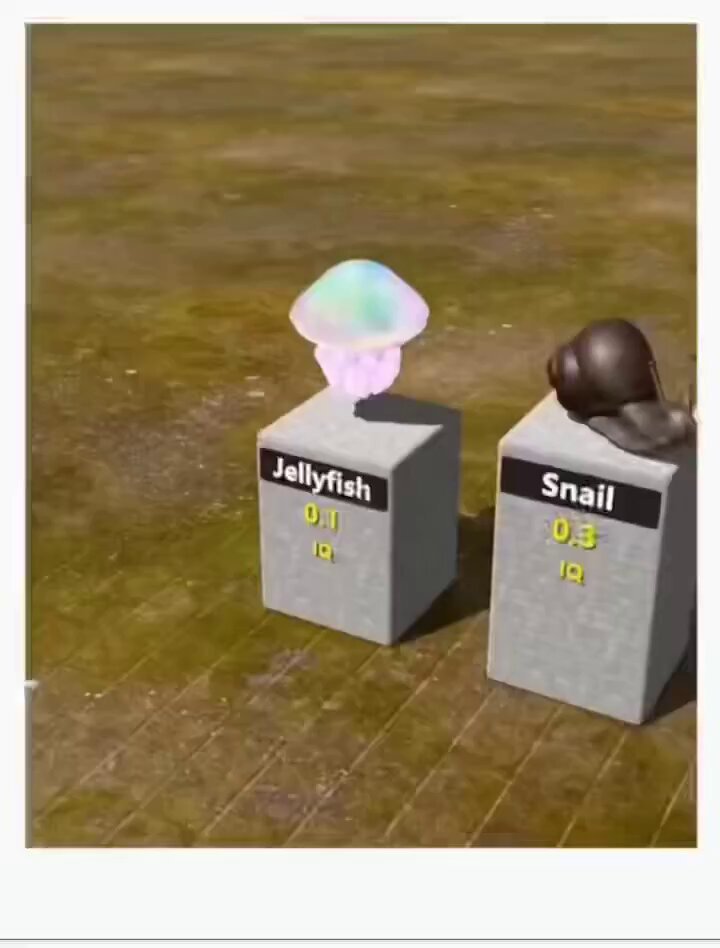 ztdgnc7guexmymtp