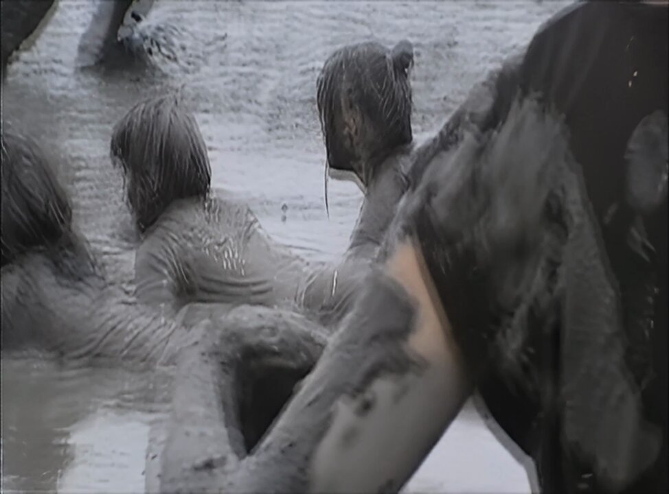 krd-co19gs_3excj