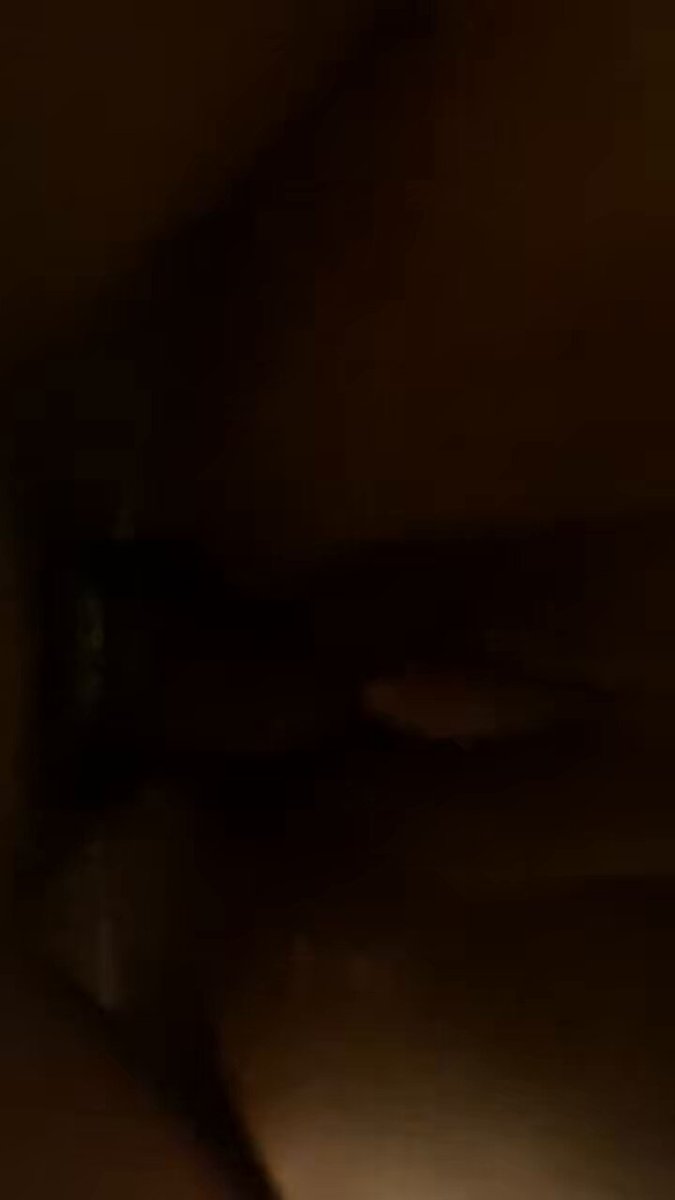 w_yilpmfumrnjerd