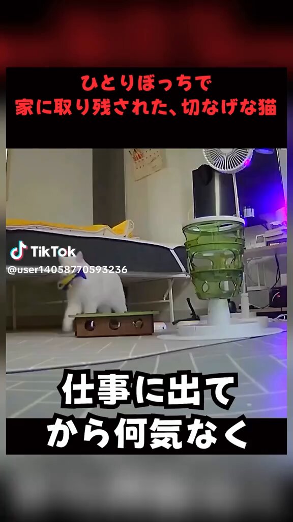 xvwt4ztv5l9f6btj