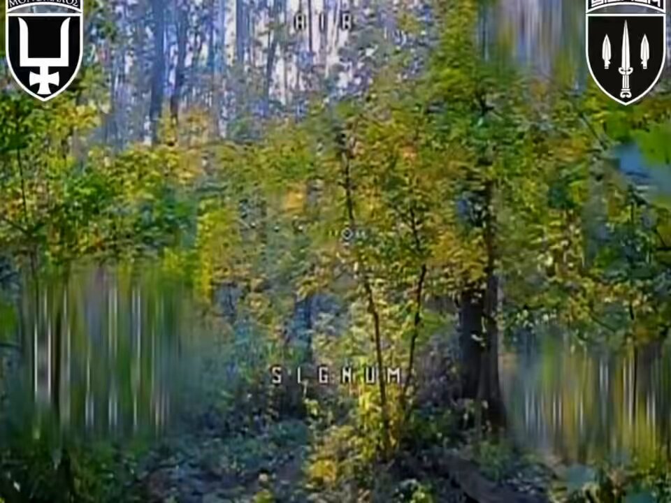 3vhx-xzmeawjwtyt