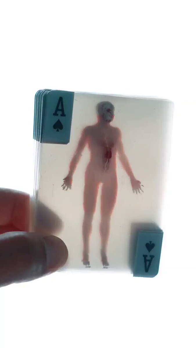 an_czsnc0kzw6e3u