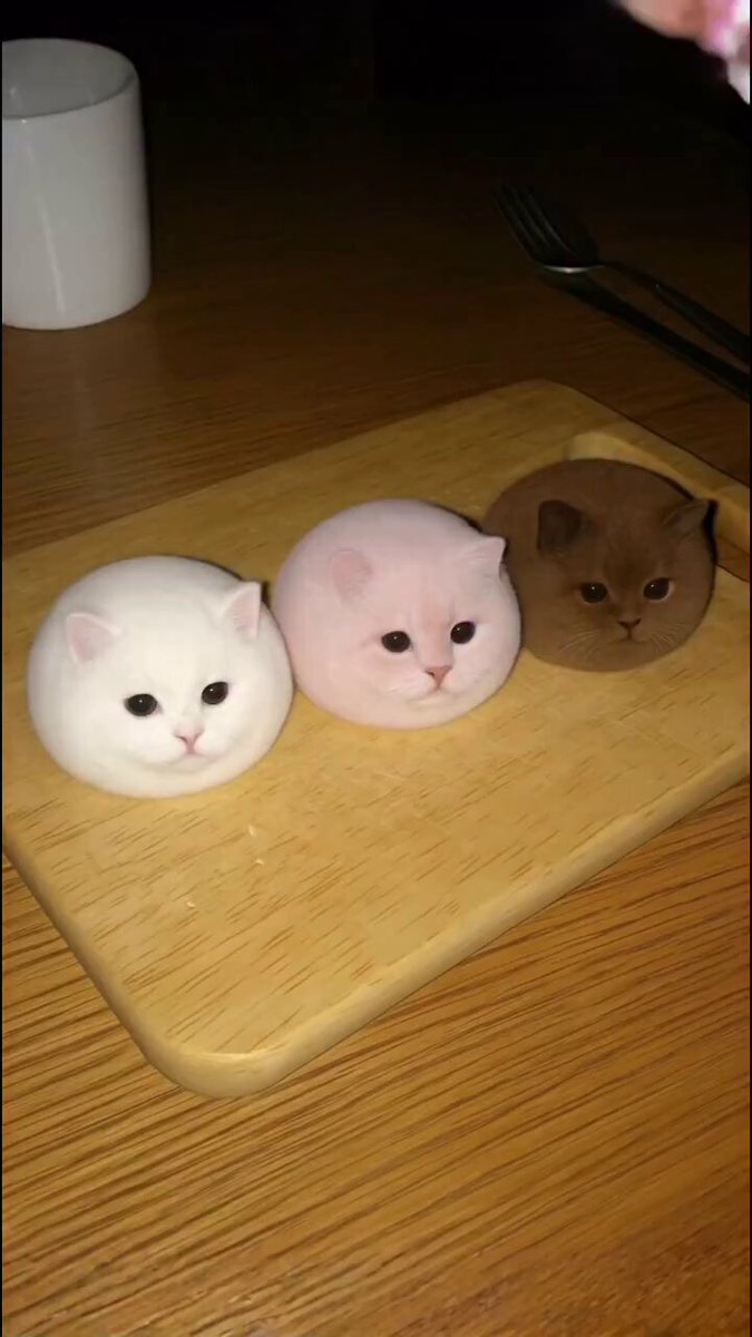 rtcrofubjxjht_tq