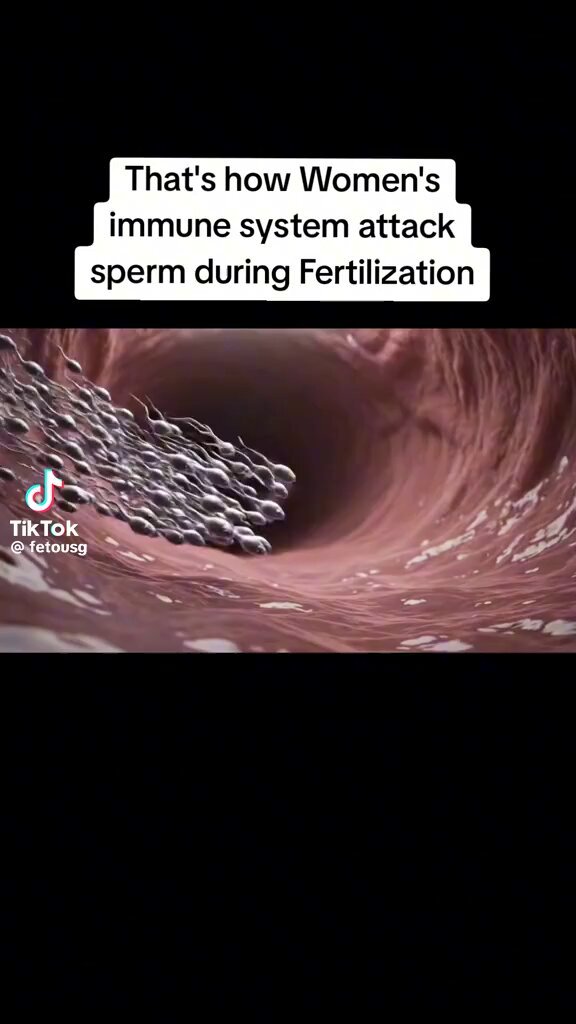 gu9bnxdahjrnbf69