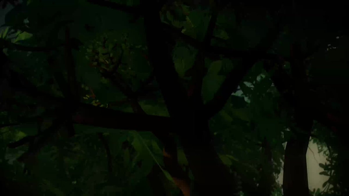 o3fWvoF29KFtgT2F