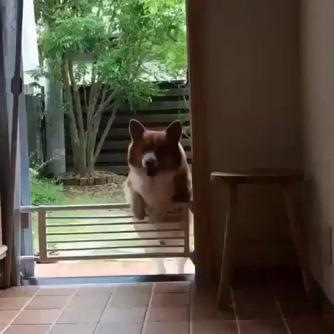 ggwyjpzhnxemh_ce