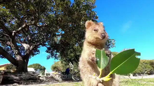 bnfvakjzmjvmtcsr