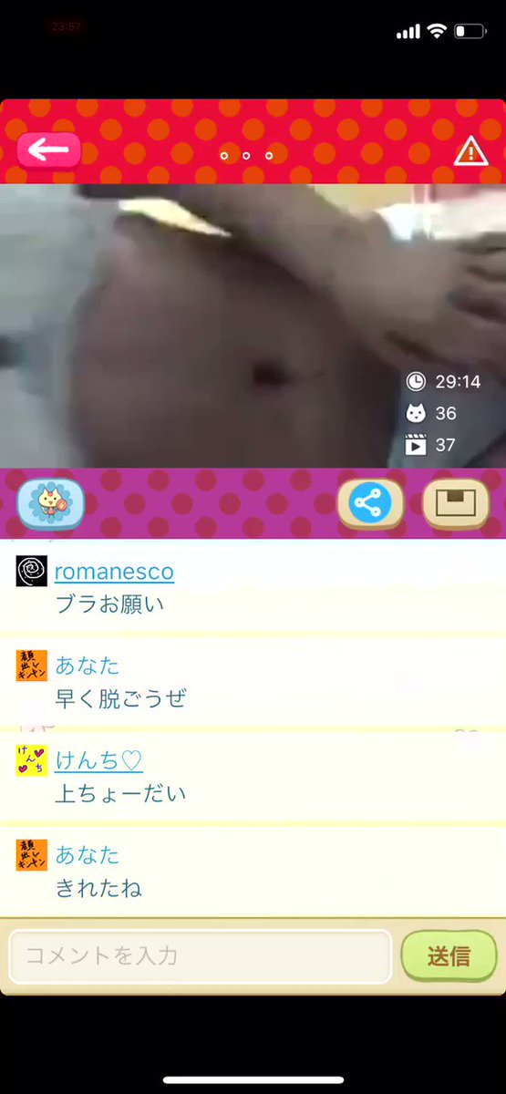 jgzzf-chndon3ce9-2