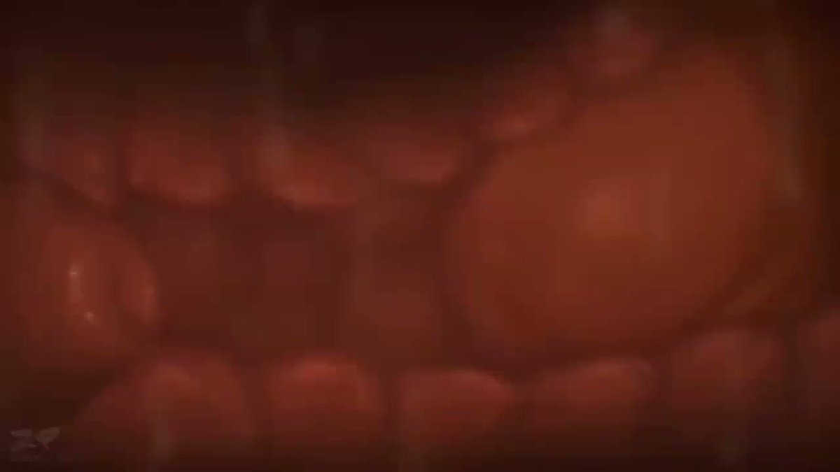 9teyr__mzrzgzzk0