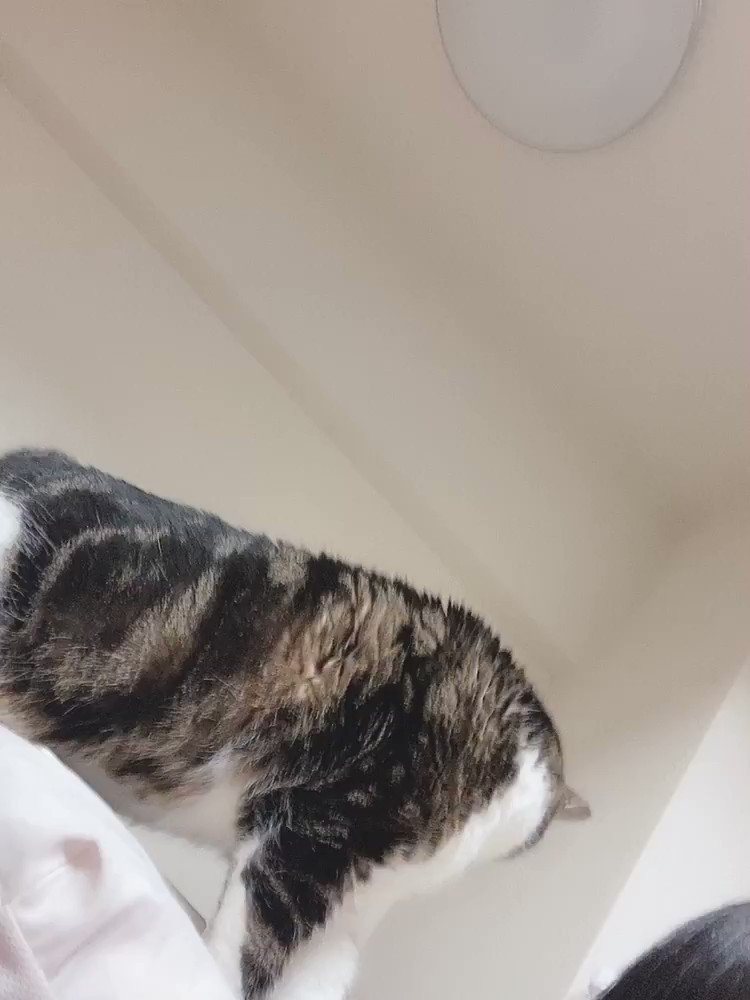 hrxuirtcuygvzdyd