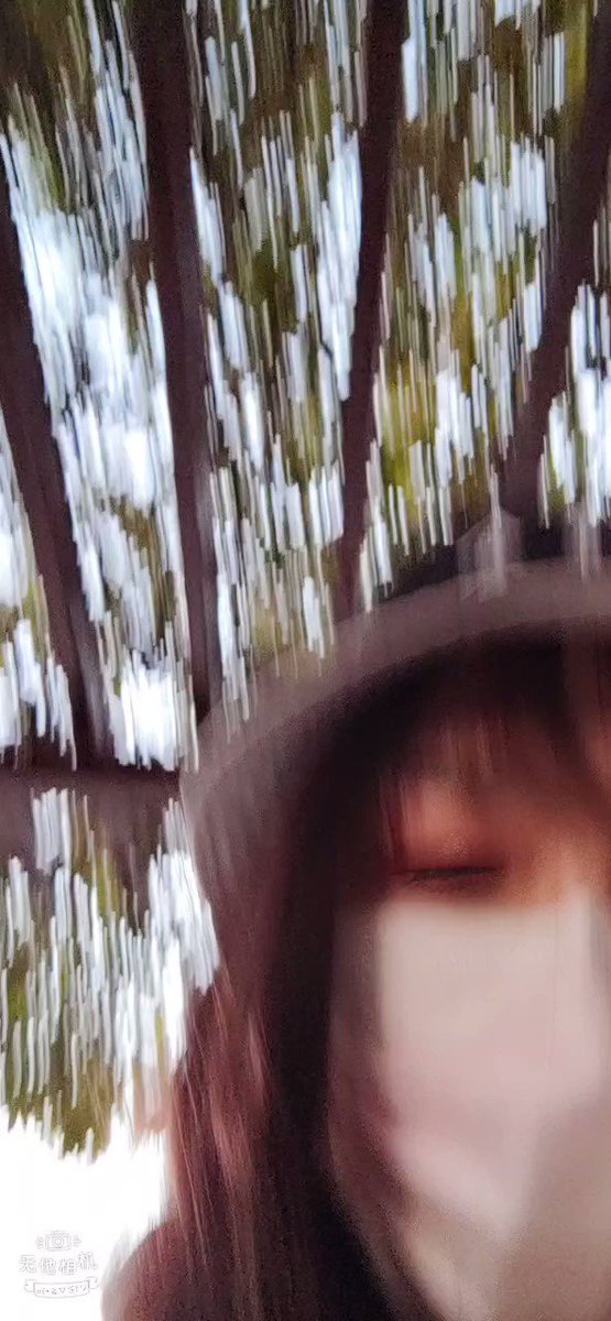 llfvntbw38qqftj4