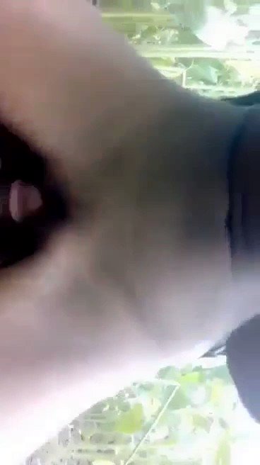 shvei8ccjpxii-iw