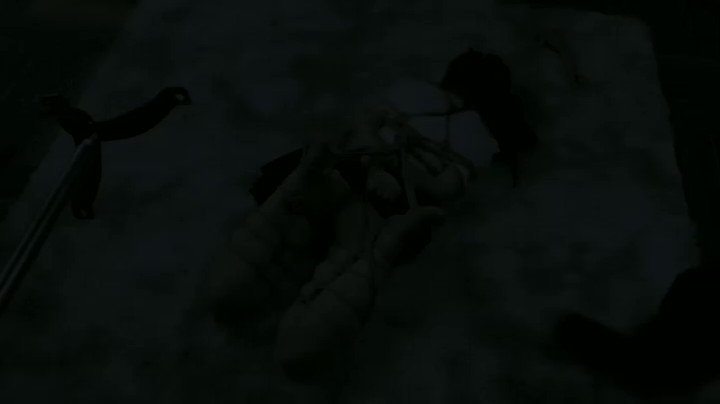 k5rc2vjlyn_eiqak
