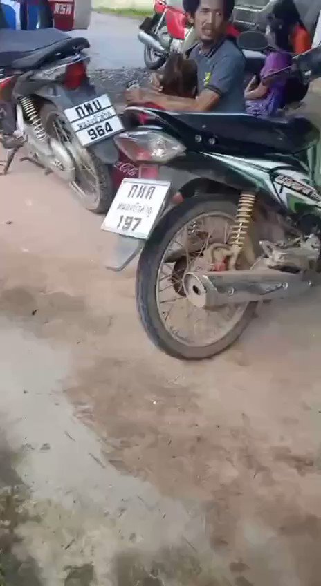 uwyqsfzfu_bvypqd
