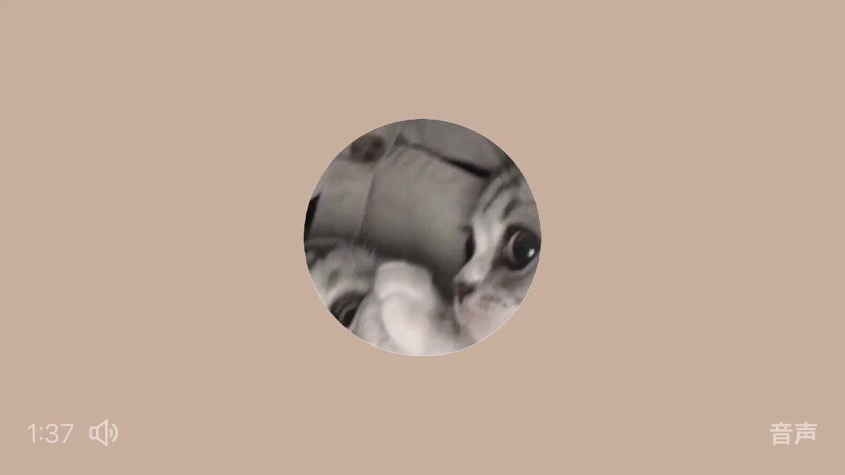 h-onnjjh-q_zmagx