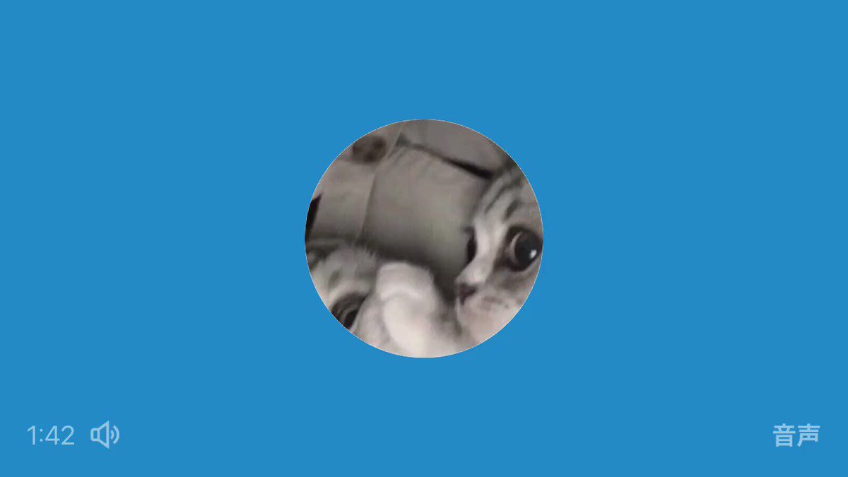 l6gnr6vymr8oimlq