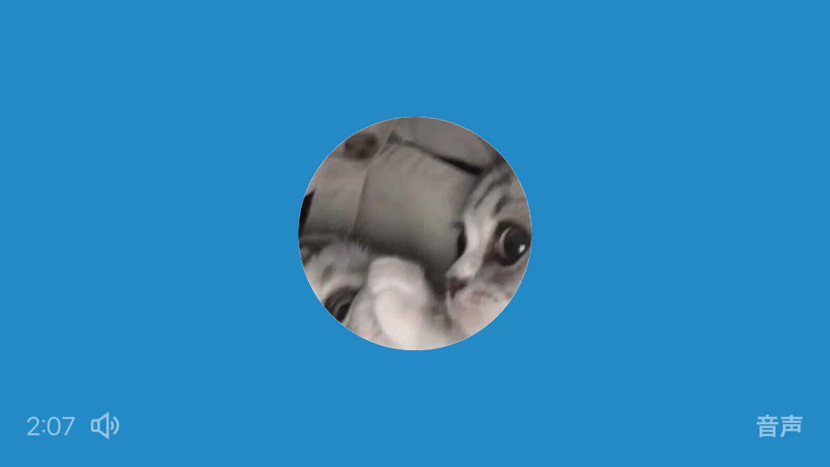 acamlvp94ysy9ee4