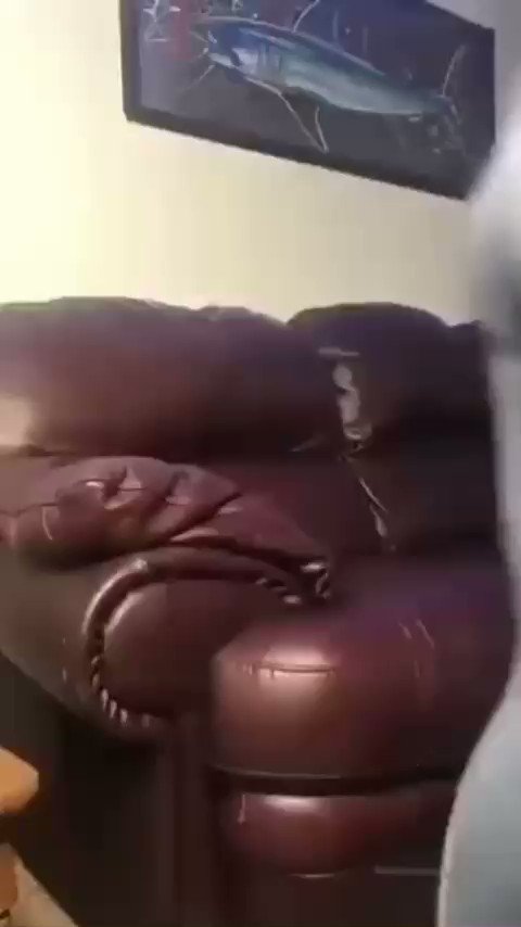 egavcbxzxob6kdwb