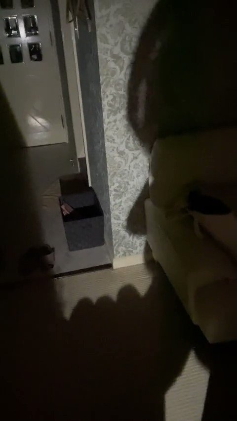 vkzqudw4vrp5fdnf