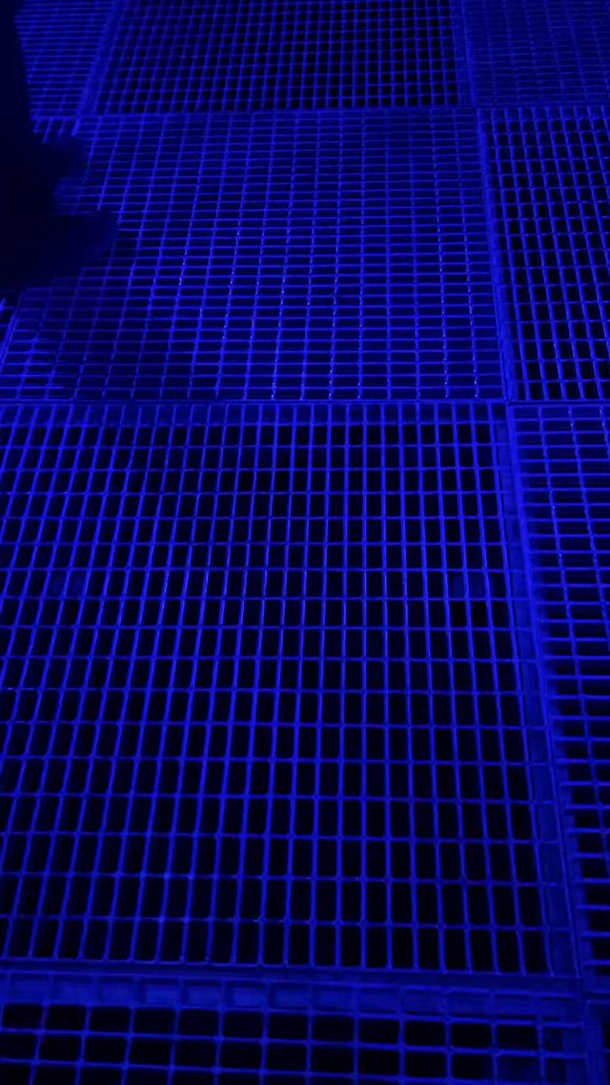0ldylmdjku_abprn
