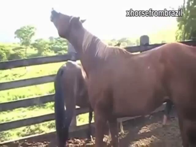 inrovw9bz2z8e3yo