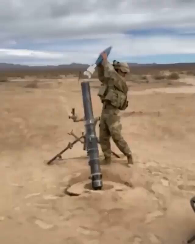 -nv03wga8lr0bt0t