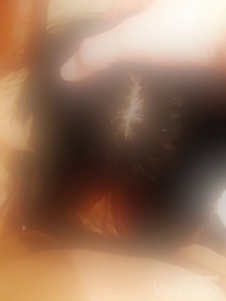 gumiuh6eqfkxshc1