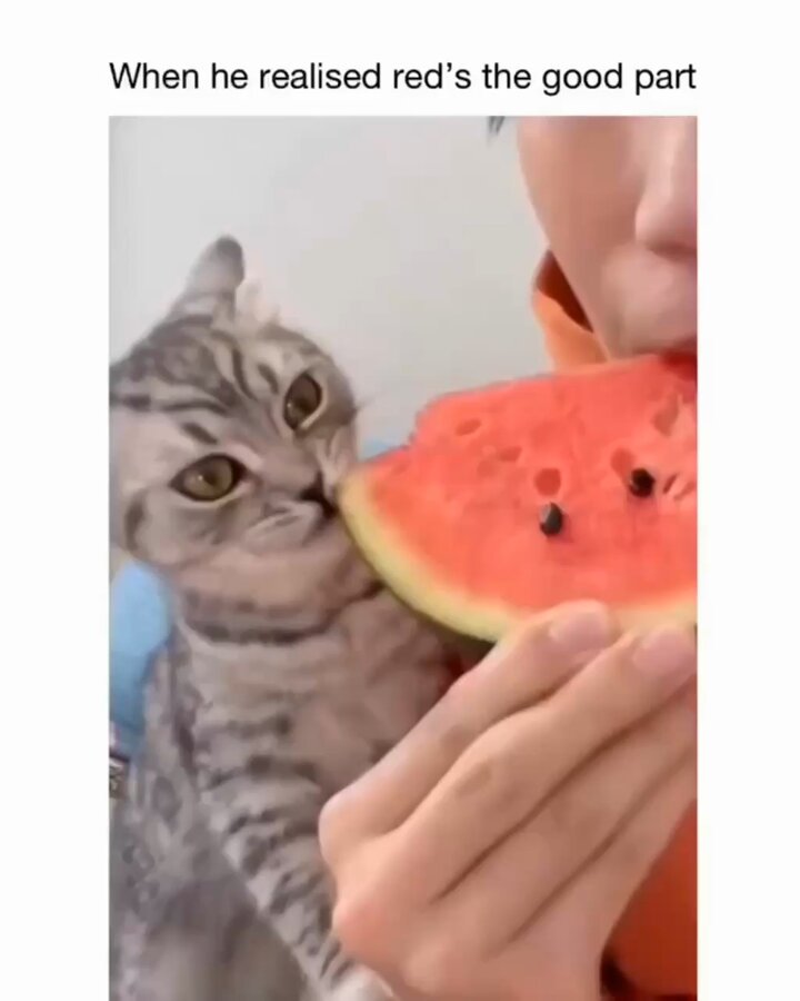 szqanrzclhpz7s8m