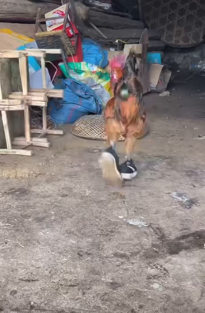 otnetudwew5k9wka