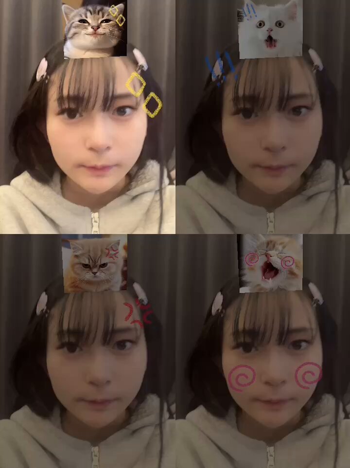 oxgmbmqs_3pets-j