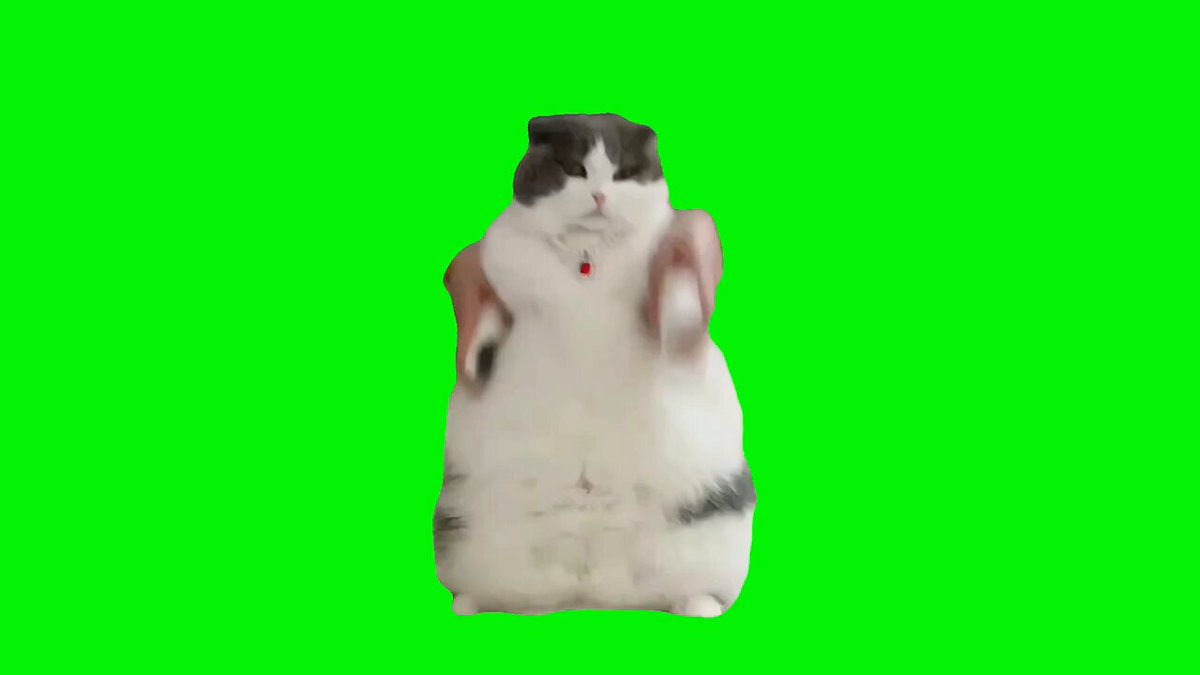 qpw2tv_oncvaxqgx