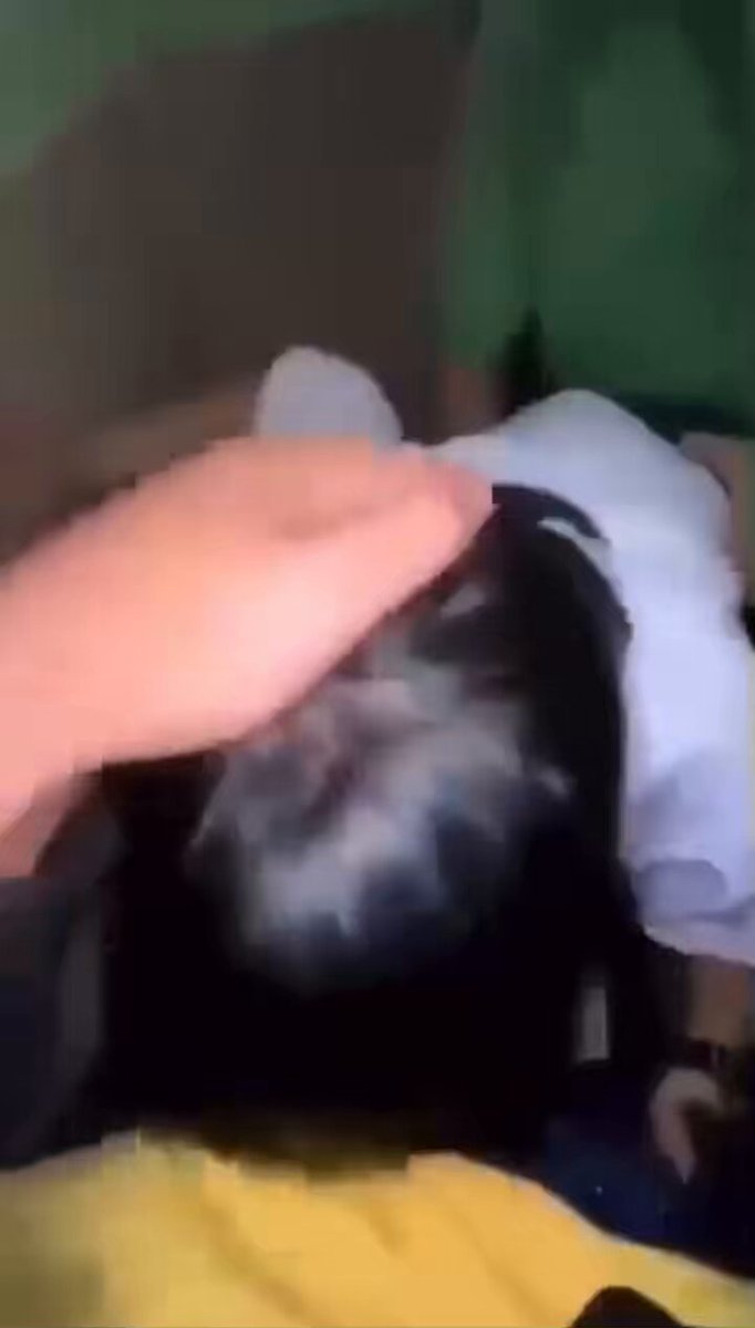 rzftvgwto3pm000h