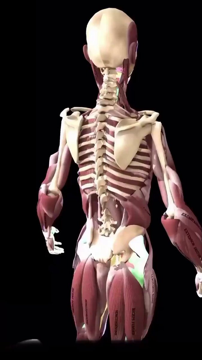 0ai5m6yvswdjgav8