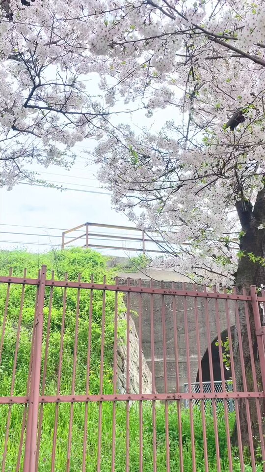 igiwkjp57tyq_ryl